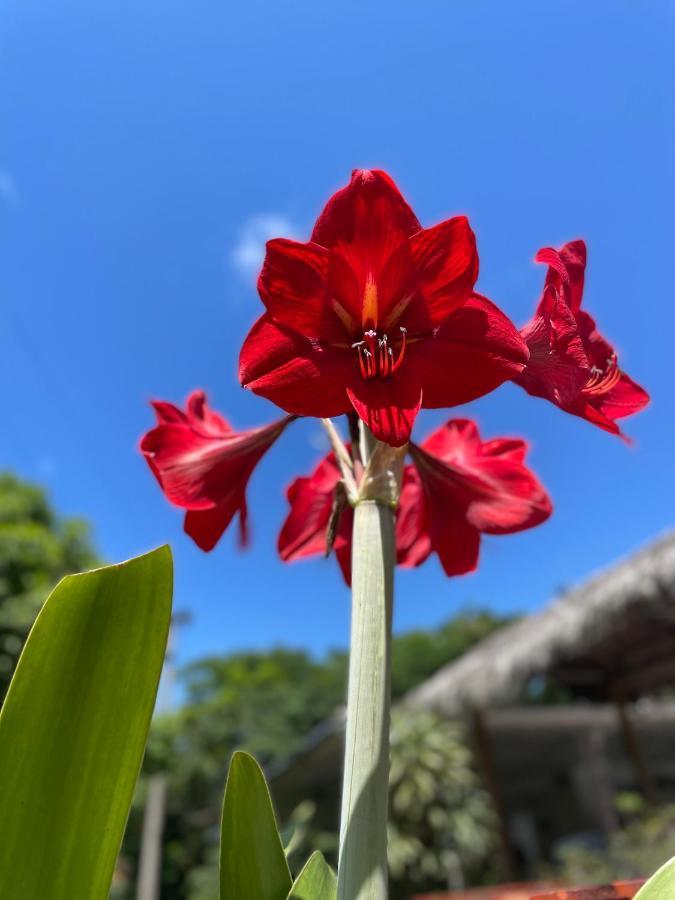 Hotel Hacienda El Diamante บีเยตา ภายนอก รูปภาพ
